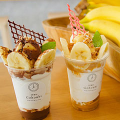 �`���R�o�i�i�ƃL���������o�i�i�\�t�g